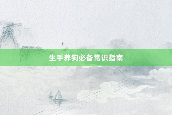 生手养狗必备常识指南